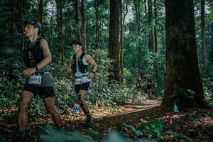 BIB: 
                            <button type="button" onclick="openModal(26133772)" class="btn btn-primary btn-sm float-right btn-popup" data-toggle="modal" data-target=".modal-high-quality">
                        <i class="fas fa-shopping-cart"></i> Add to Cart
                    </button>
                                            <button type="button" onclick="isThisMe(26133772, true)" class="btn btn-success btn-sm float-right btn-popup btn-isme hidden" data-toggle="tooltip" data-placement="bottom" title="นี่คือรูปของคุณใช่ไหม คลิกที่นี่เพื่อเอาเข้าอัลบั้ม">
                        <i class="fas fa-plus"></i> Add to album
                    </button>
                    <button type="button" onclick="isThisMe(26133772, false)" class="btn btn-warning btn-sm float-right btn-popup btn-isnotme hidden">
                        <i class="fas fa-ban"></i> Remove from album
                    </button>